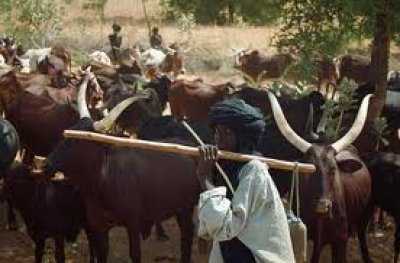 fulani-herdsmen 2