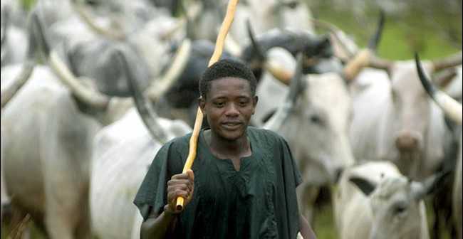 Fulani-herdsman-650x336