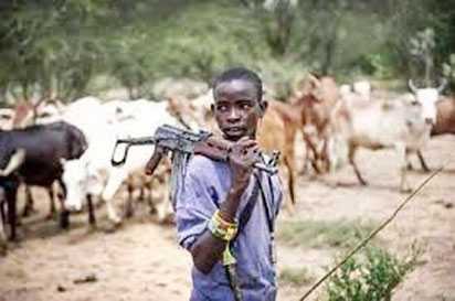 fulani herdsmen boy with riffle