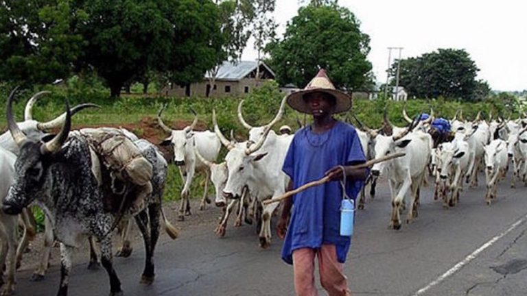 Enugu Moves To Control Activities Of Herders As Assembly Passes Public Ranch Management Agency Bill